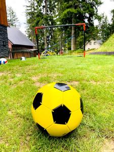 马丁斯克霍尔Chata MartinSki Martinske hole的坐在草地上的黄色和黑色足球球