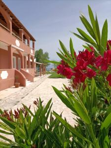 卡沃斯Melador beachfront apartments的一座建筑前的灌木丛,鲜花盛开