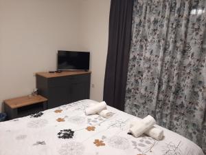 卡赞勒克Апартамент ДОРА的一间卧室配有一张床,梳妆台上配有电视