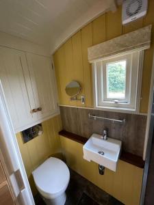 TodberBathsheba, Luxurious Shepherds Hut set in Todber a hamlet set in Thomas Hardy's iconic rural Dorset的一间带卫生间、水槽和窗户的浴室