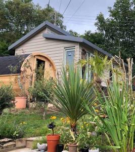 洛斯特威希尔Little Breoke的一间有蓝色门和一些植物的小房子