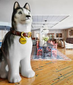 StorrsGraduate Storrs的一只猫站在客厅里的雕像