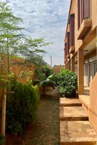 尼亚美Le Lézard Vert, Maison d'Affair à Niamey的一条步道,毗邻一座树木和灌木丛的建筑