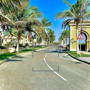 阿卜杜勒国王经济城بِيُوتات الرفآه - ڤيلا الواحة 2的一条空的街道,在路边种有棕榈树