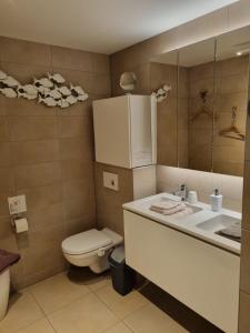 布鲁塞尔Romantic room in brussels sky的一间带卫生间、水槽和镜子的浴室
