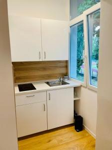 布拉迪斯拉发Studio Apartment Dandelion的厨房配有白色橱柜、水槽和2扇窗户。