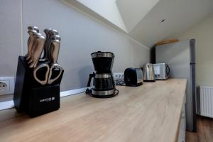 瓦杜伊泽Casa Pricop Moroșană的厨房柜台配有咖啡壶和搅拌机