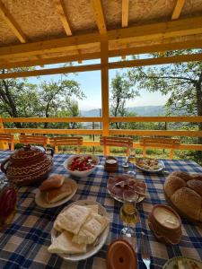 普列夫利亚Etno kuća Krvavac的一张桌子,上面有食物,放在蓝色的格子布上