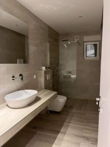 萨拉热窝Villa Aida的一间带水槽、卫生间和淋浴的浴室