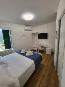 克里日亚Affittacamere Il Timone的一间卧室配有一张床、一张书桌和一台电视