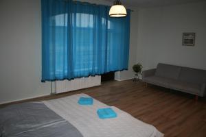 普里恩斯慕斯Brīvdienu māja Tobago的一间卧室配有一张带蓝色床单的床和一张沙发