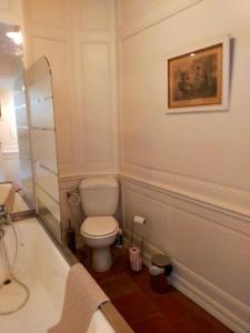 图卢兹Logis de Sainte-Scarbes的一间带卫生间、水槽和镜子的浴室