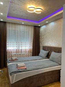 皮罗特Apartman Branković Pirot-Zapadni Kej 58的一间卧室配有一张紫色照明的大床