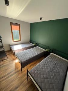 科瓦雷Domki Platan w Karkonoszach的一间卧室设有两张床和窗户。