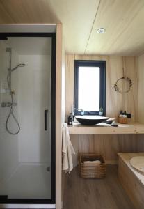 韦尔图La tiny house de la Blandinière的带淋浴和盥洗盆的浴室