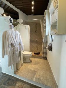 圣米格尔-德阿连德Casa Grande Luxury Boutique Hotel的带淋浴和卫生间的浴室。
