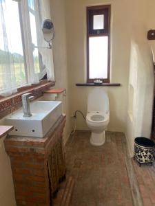 三百岭Driftwood and Jolie cottages的浴室配有白色卫生间和盥洗盆。