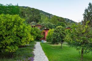 奥林波斯Simurg Evleri Olympos的花园中一条有红房子和树木的小径