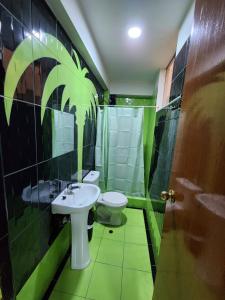 塔克纳Hotel Oceano Mit的一间带水槽、卫生间和淋浴的浴室