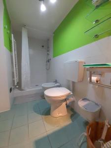 RoisanArtemisia的一间带卫生间和绿色墙壁的浴室