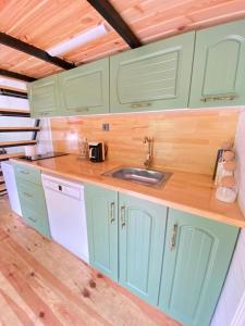 ArdeşenButka tiny house的厨房配有绿色橱柜和水槽