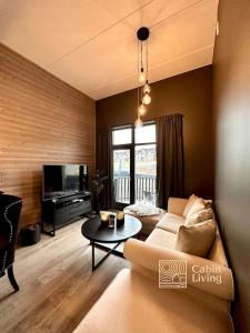 New high standard apartment in Trysil alpine lodge的休息区