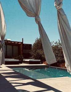 瓜达鲁佩镇Casa Michaus Valle de Guadalupe的游泳池旁配有两把白色遮阳伞