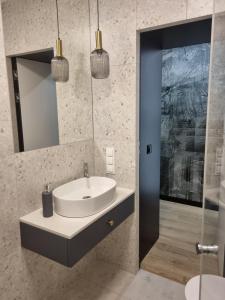 克拉科夫Stańczyka Apartment的一间带水槽和镜子的浴室