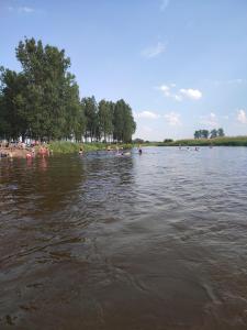 SobkówApartament nad Nidą的一群人在一个水体中游泳