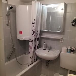 斯图加特Stuttgart Holiday 02的一间带水槽、淋浴和卫生间的浴室