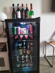 斯图加特Stuttgart Holiday 02的装满大量酒的冰箱
