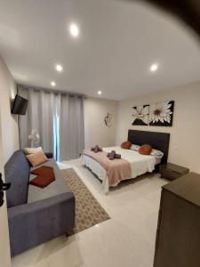 阿德耶Apartamento Vistas Paraiso的一间大卧室,配有一张床和一张沙发