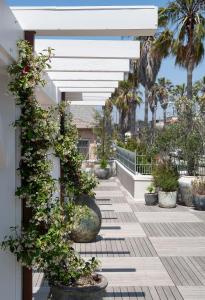 洛杉矶Vitorrja的种有盆栽植物和棕榈树的庭院