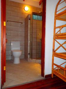 奥罗西Orosi Lodge的一间带卫生间和步入式淋浴间的浴室