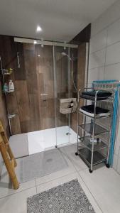 罗德兹Ruthene Etape Appartement T3的浴室里设有玻璃门淋浴