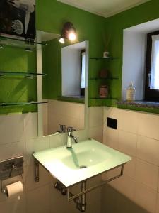 RoisanArtemisia的绿色浴室设有水槽和镜子
