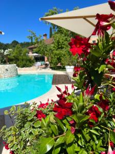 蒂耶内Borghetto San Biagio Relais Agriturismo的一座种有红色鲜花和遮阳伞的游泳池