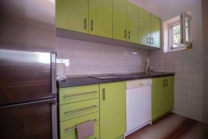 特雷比涅Apartmani Berdovic的厨房配有绿色橱柜和不锈钢冰箱