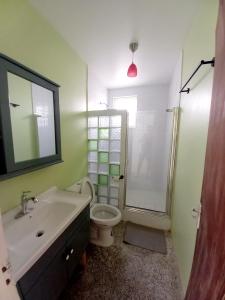 CalibishieDado's Place的一间带水槽、卫生间和淋浴的浴室