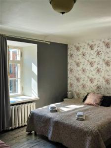 塔林Godart Rooms Guesthouse的一间卧室设有一张床和一个窗口