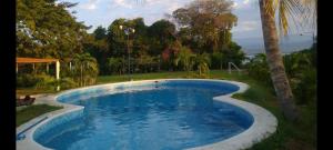 CoyucaCasa Laguna的棕榈树庭院中的游泳池