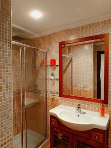 维拉加尔西亚·德·阿劳萨Atico Rias Baixas的一间带水槽和淋浴的浴室