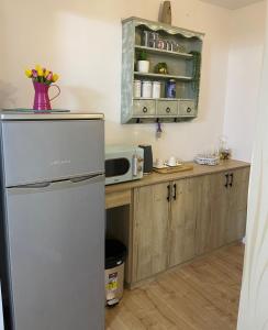迈季代勒舍姆斯Yellow House Suite的厨房配有冰箱和微波炉。