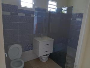 路易港Maison zebre的蓝色瓷砖浴室设有卫生间和水槽