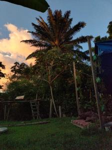 莱蒂西亚Nomada Hostel的房子旁的院子中的棕榈树