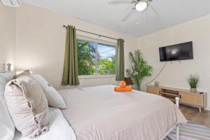 迈阿密Enchanting cozy Apartment 10 min away from airport, Calle 8, Brickell, Coral Gables, the beach and more!的一间卧室设有一张床、一台电视和一个窗口。