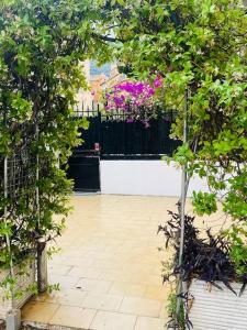 格拉斯Spacieux 3 pièces avec terrasse - Parking的一座带黑色围栏和紫色花卉的花园
