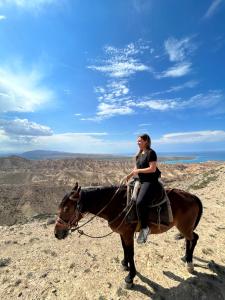 博孔巴耶沃Yurt camp Sonun的骑着马在山顶上的女人
