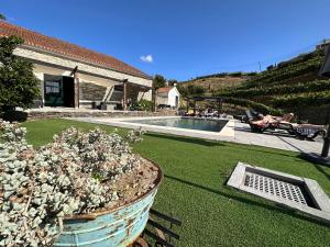 杜罗河畔瓦伦萨Quinta da Casa Cimeira, Guest House, Wines & Food的一座带游泳池的庭院