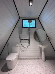 磅士卑省Camping Park Resort的一间带卫生间、水槽和窗户的浴室